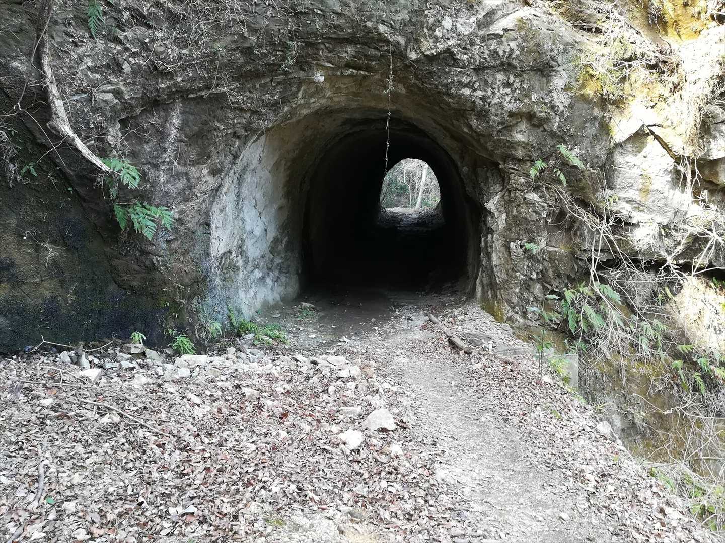 トンネルは合計3つ潜ります