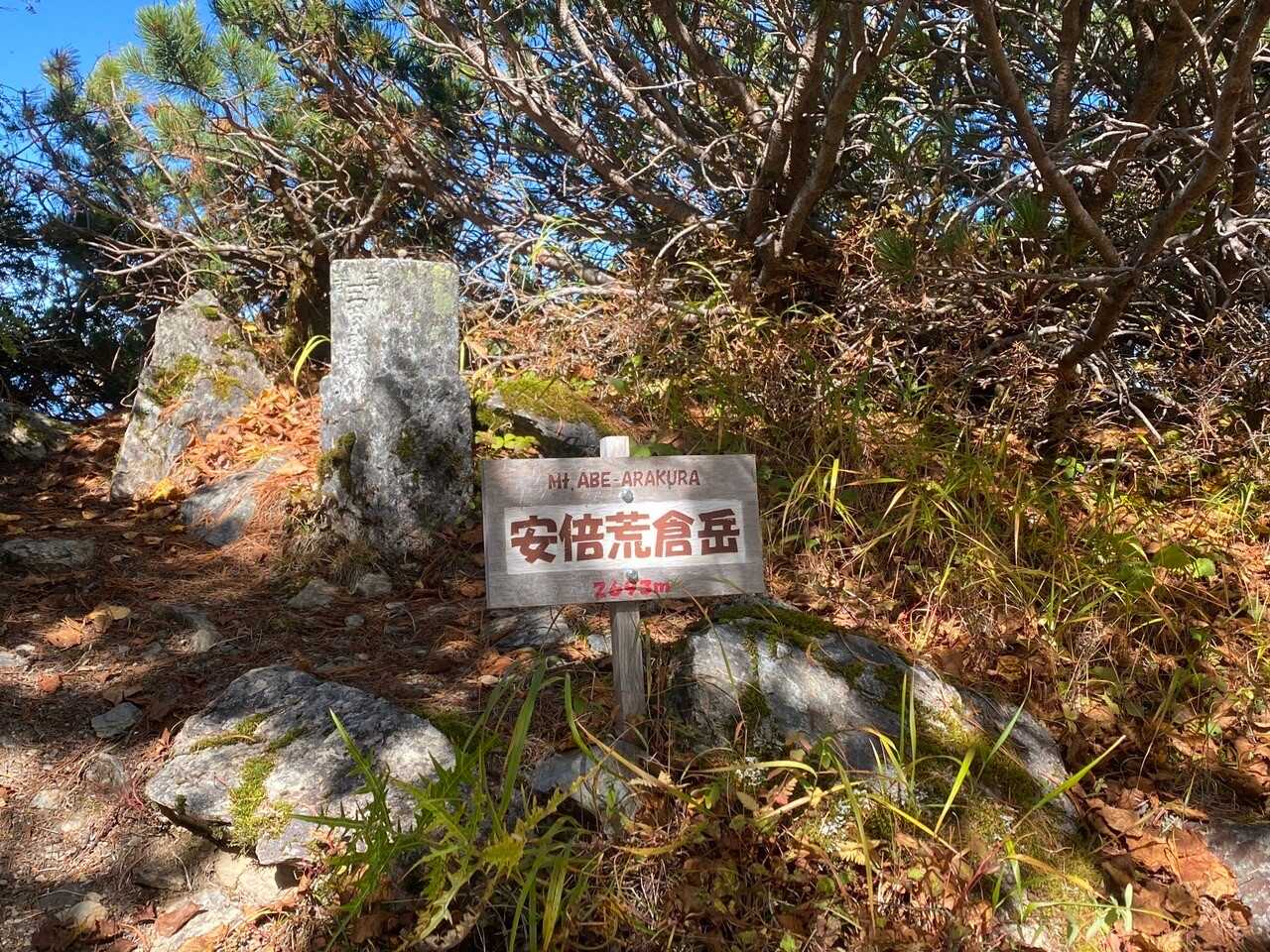 安倍荒倉岳の写真