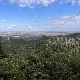 東稲荷山　ススキと秋と