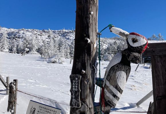 やまちゃん65 | YAMAP / ヤマップ