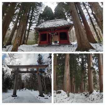 奥社の参道もしっかり凍結してツルツル😨チェンスパ持ってくるんだった