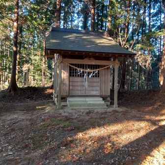 安場山山頂の社(大杉神社)、山名板は見つからず