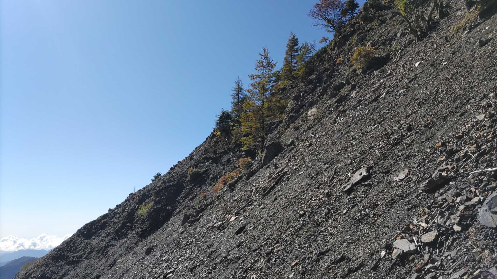大谷崩登山口-新窪乗越-大谷嶺 往復コースの写真