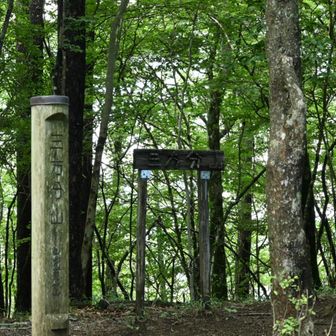 標識3つ（ここ甲府なのか）