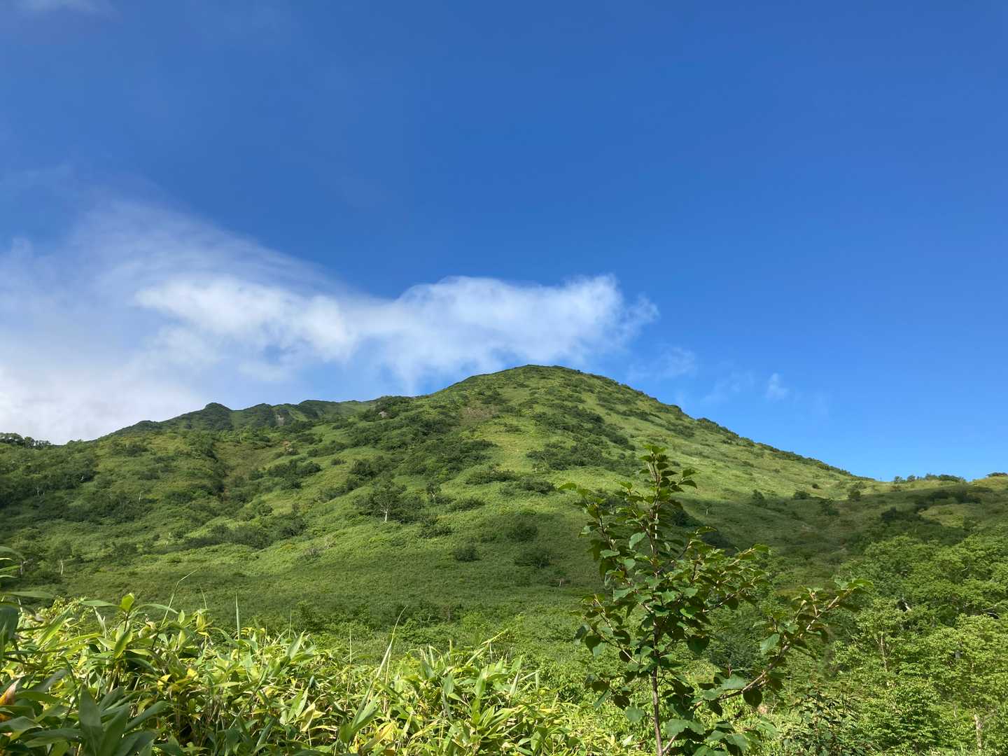 芦別岳の手前の雲峰山が見えました。