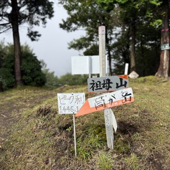 真っ白ですよね😂