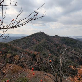 先月歩いた千刈水源池の西側の山