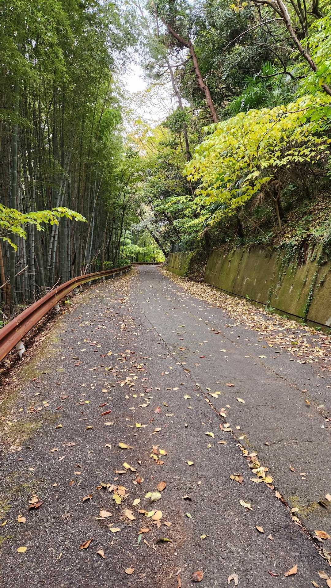 陶の道・若山城登城のみち入口-若山 往復コースの写真