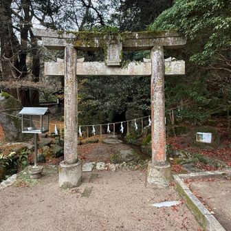 「紫藤の滝」

そう言われれば…鳥居の奥に小さな滝がありました。