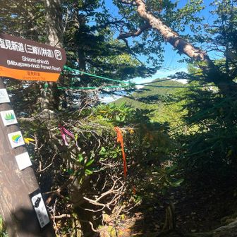 👆「塩見新道」も封鎖されてる❌
道が崩れて⚠︎ヤバい状態になってるとか、、、