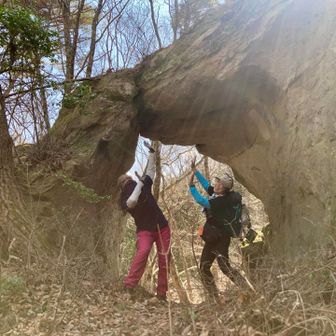 見たことある穴で遊ぶ🎶楽しいね😆