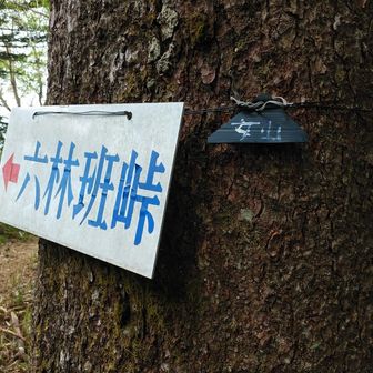 女山　看板が小さい