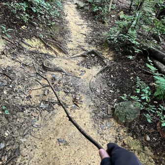 蜘蛛の巣退治