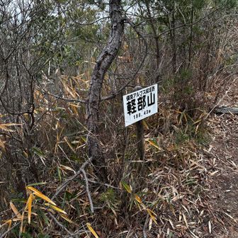 今回のルート上、唯一のピーク⛰️軽部山