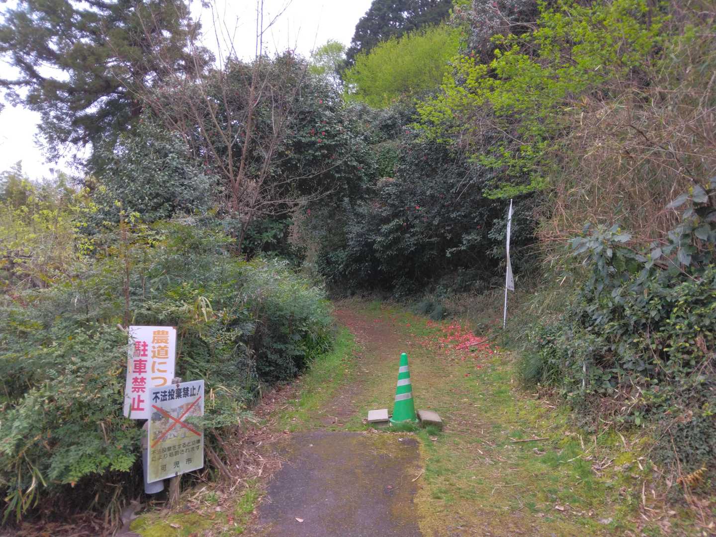 歩行者は通行可です