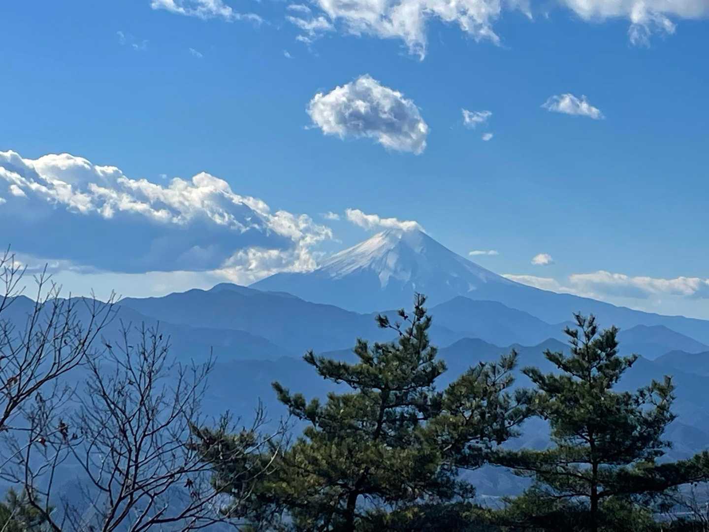 武蔵五日市駅-独標-入山峠-旧入山峠-鳥切場-栗ノ木沢ノ頭 縦走コースの写真
