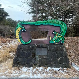 皆さんが写真撮ってるやつ