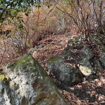 グレーピークの　ねこ山へ向かいます😎

これまた急登
