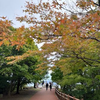 急いでるけど、これは行かなきゃ。