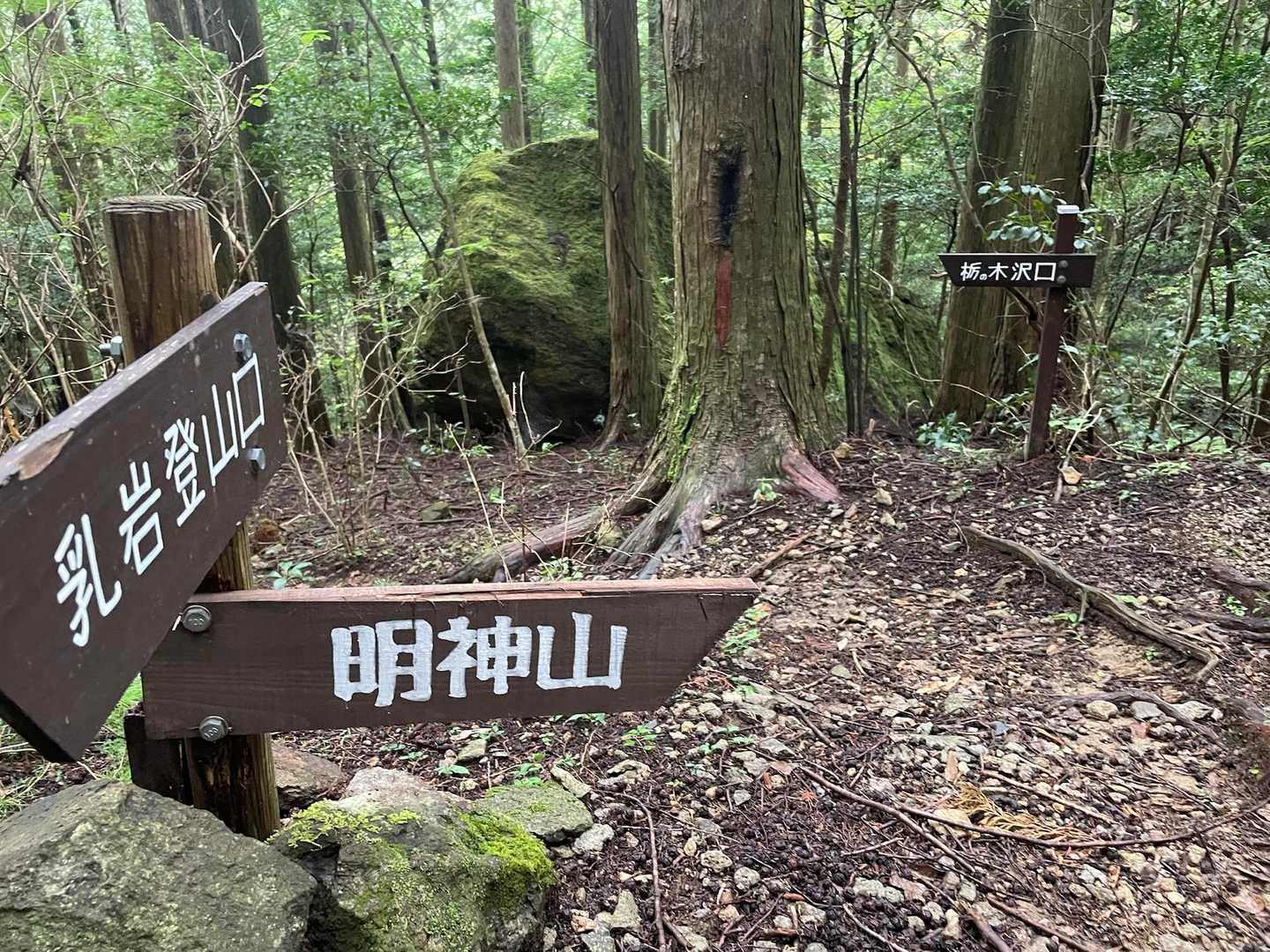 この辺りからは迷わず
案内看板がありがたい🙏