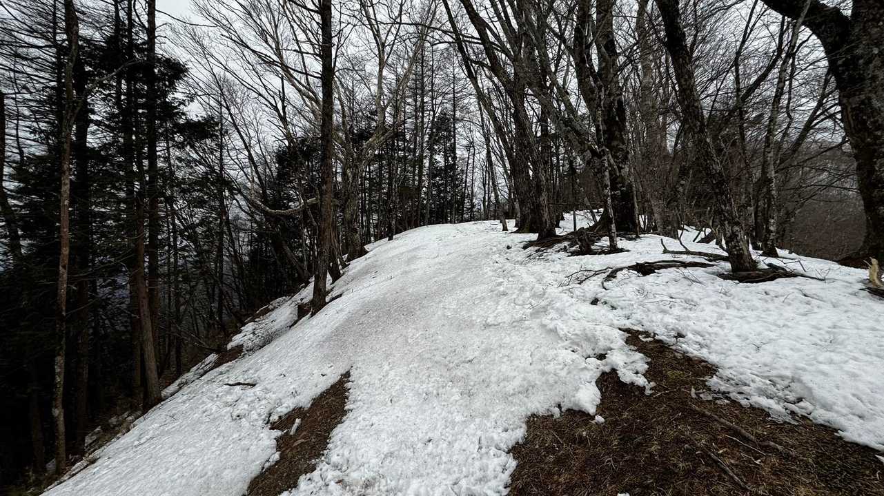奥多摩、石尾根テン泊縦走（鴨沢〜七ツ石山〜鷹ノ巣山〜六ツ石山〜奥多摩駅） の写真 44
