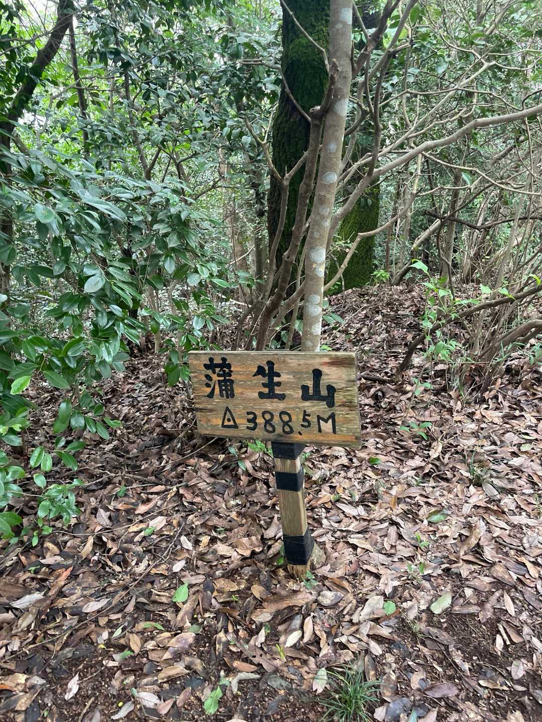 なかなか疲れました💦