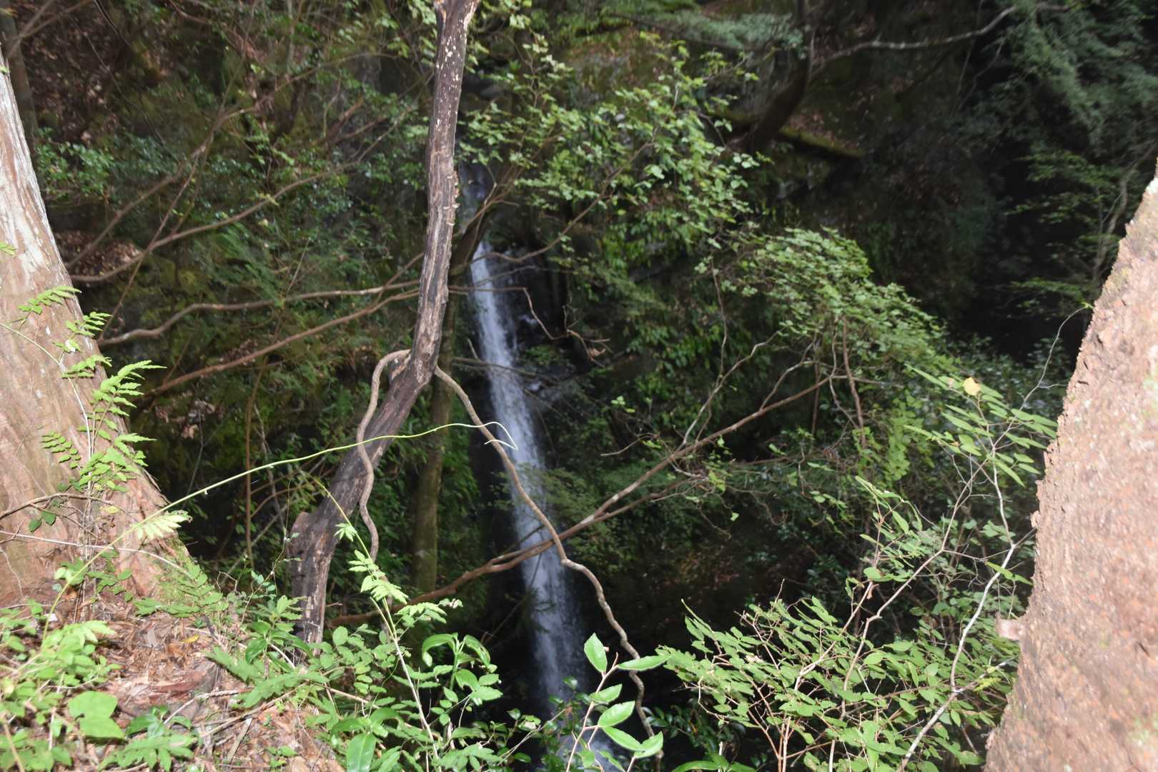大滝です