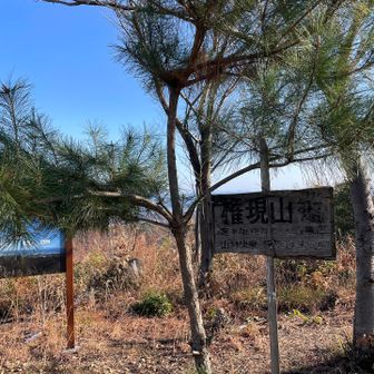 良い登山者さんと少しおしゃべりして楽しいひと時を