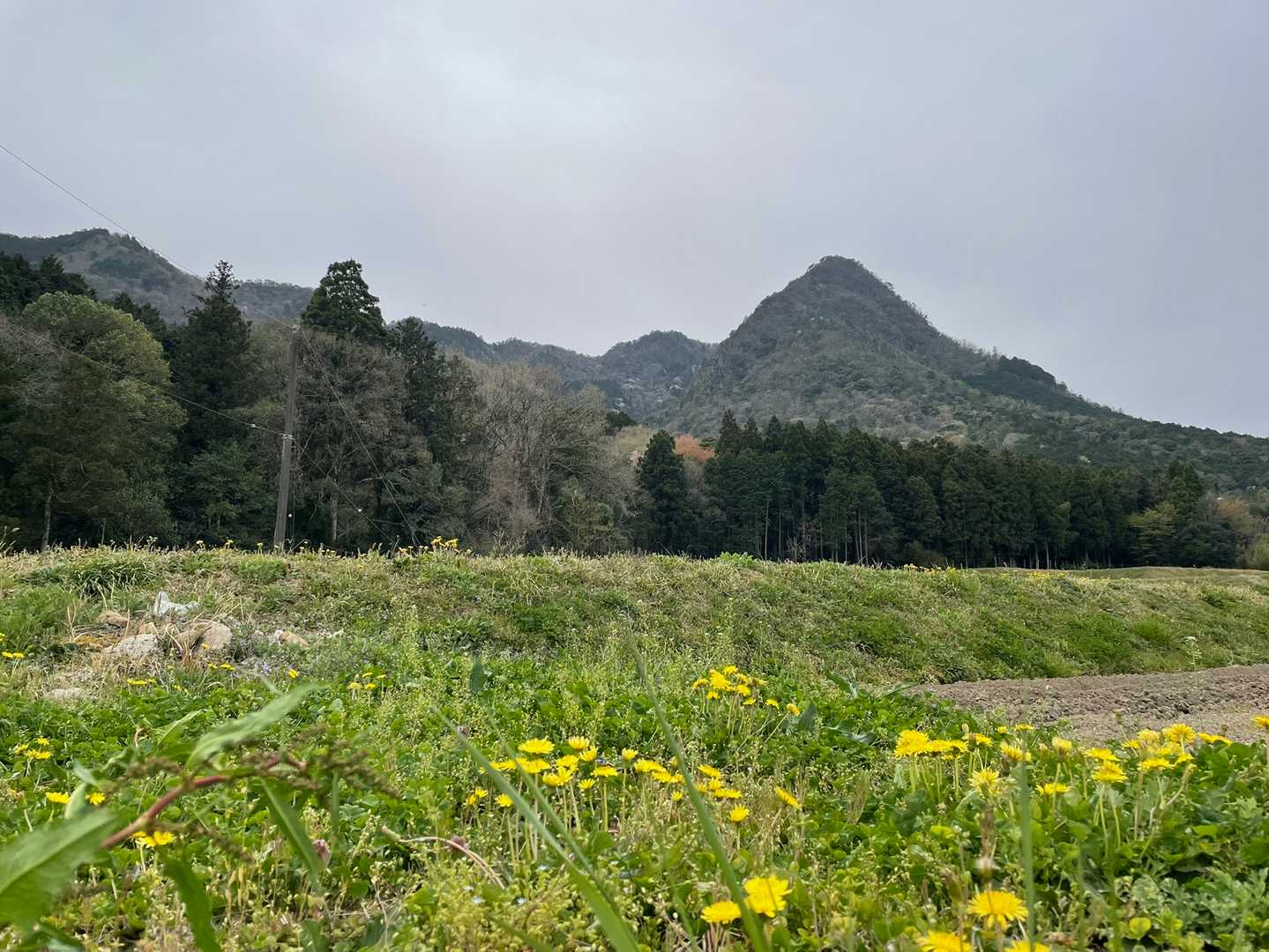 三尾山、見る場所変えると意外に尖ってる🧐