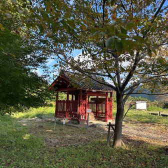 山頂⛰️到着！
稲荷神社⛩️