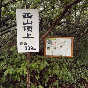西山🙌