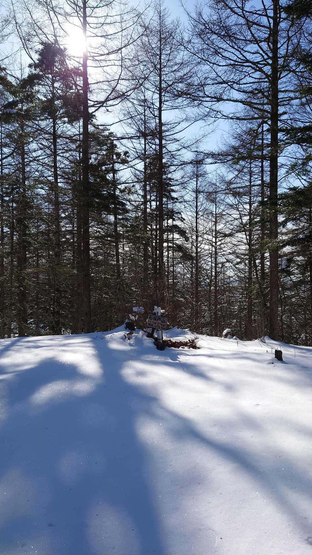 はい、本日最初のピーク「石保土山（いしやすどやま）」の山頂です。
快晴、無風、全てが止まっています。