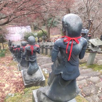 お寺にもご挨拶(´・人・`)
Kさん用に一応後頭部とっておきますかね📸