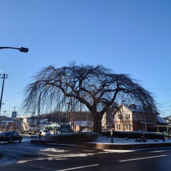 尻もち2回着いたけど、怪我なく本日の（今年の？）ハイキング終了