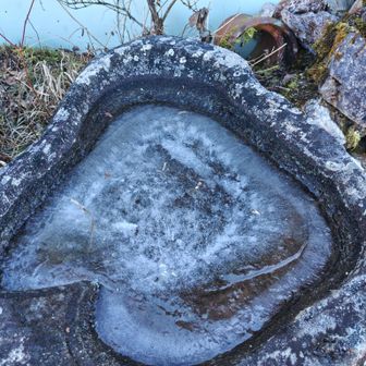 凍ってる（笑）