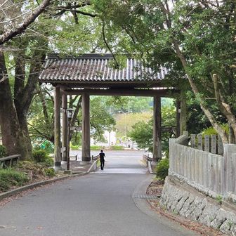 帰着