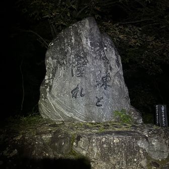 試練しかない😇