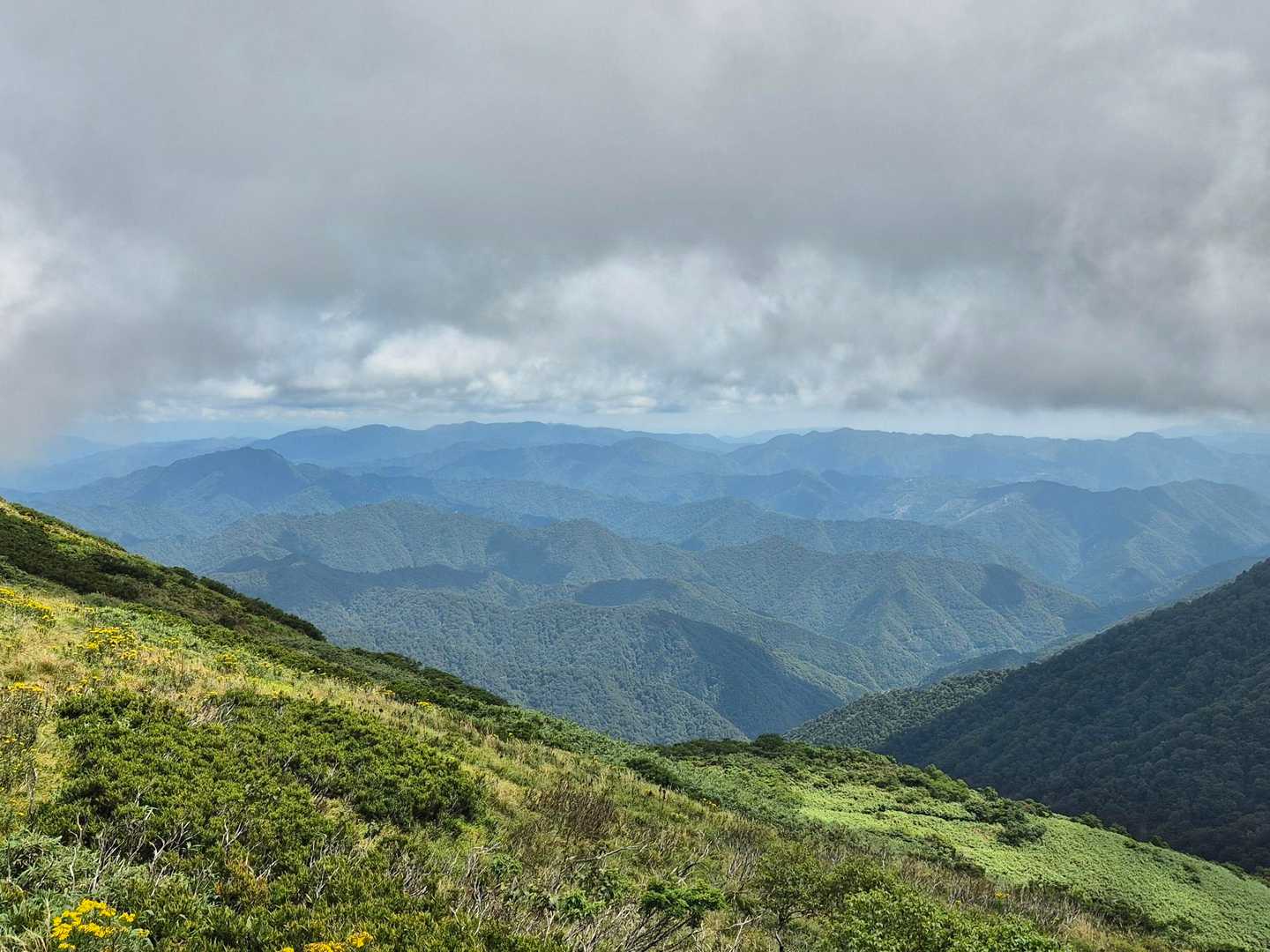 遠くに百名山の白山が見えるー😍