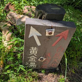 露天風呂があるみたい