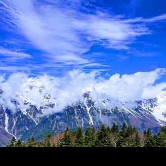 ウサギとカメのウサギ