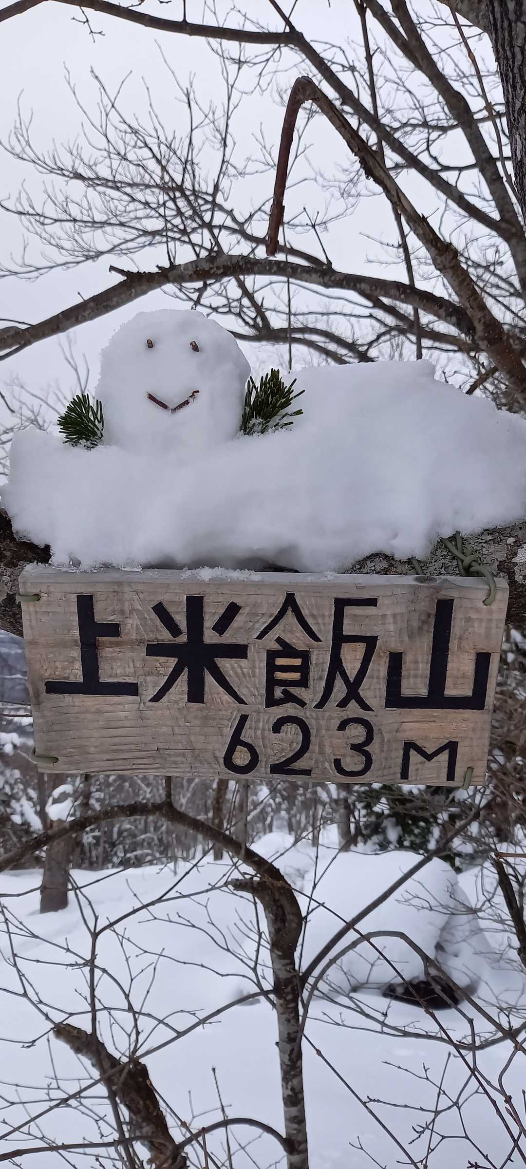到着～🤗
雪だるま、私の作品😄