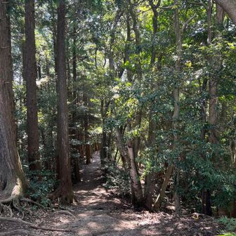 下りはＣコース