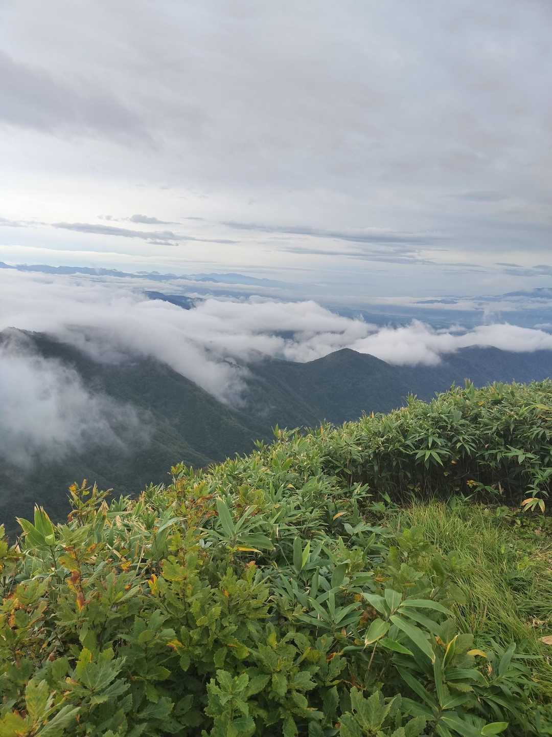 薬師原登山口-八森山 往復コースの写真