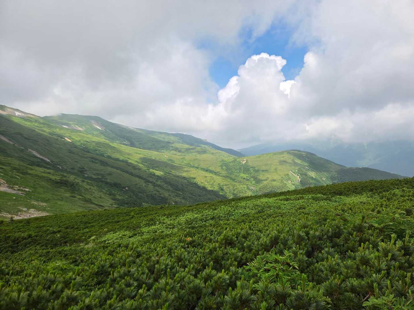 薬師岳登山口-北ノ俣岳-赤木岳-中俣乗越-黒部五郎岳 往復コースの写真
