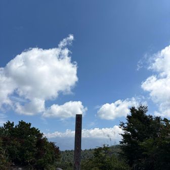また来るね〜