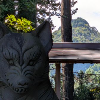 お犬様と奥之院