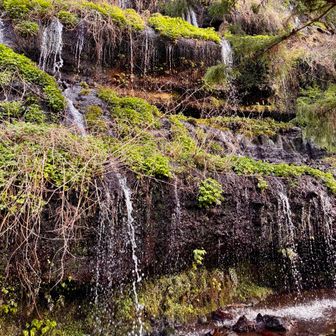 【都留市のナイアガラ✨】
大迫力と言うよりも癒し系ですね☺️
