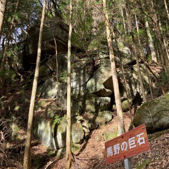 登りのとき、見逃してた馬野の巨石
ヒーヒー下向いて登ってたからね…