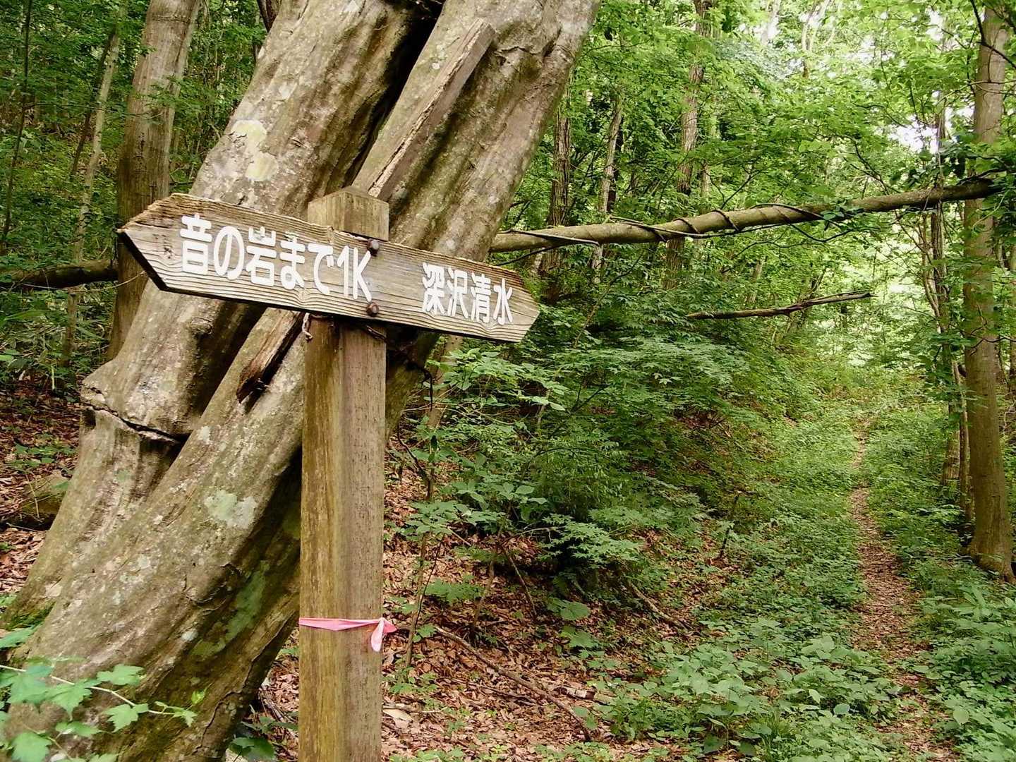 降りがてら行ってはみたものの『深沢清水』は見つけられず😩