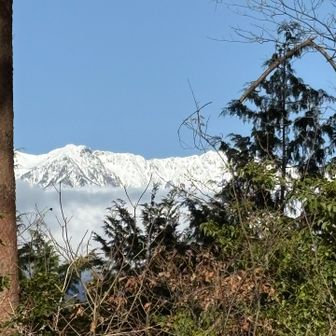 綺麗な中央アルプス